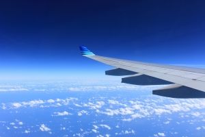 Пассажир, устроивший дебош на борту самолета, заплатит 150 тысяч рублей