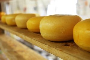 Омские сыровары попали в топ-5 крупнейших производителей в стране