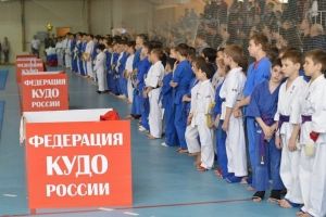 Открытый областной турнир по восточному боевому единоборству в дисциплине «Кудо»