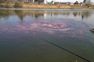 В Омске назвали подозреваемых в появлении цветного пятна в реке Оми
