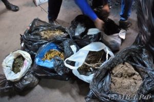 В Омске пустили в печь 11 килограммов конопли и марихуаны