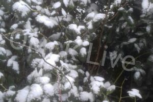 Зима близко: на севере Омской области выпал снег