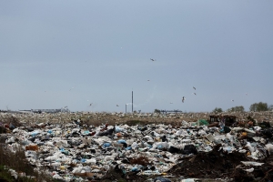 «Университету экологических проблем» пришлось освободить участок, арендованный в Омске под строительство объекта по переработке опасных отходов