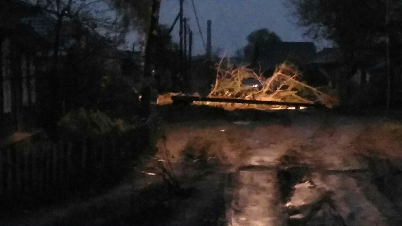 Ночной циклон в Омске снес несколько деревьев и оборвал кабеля