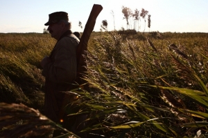 Омским охотникам увеличили норму добычи кабана - под отстрел пойдут почти 300 животных
