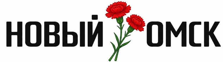 Newsomsk.ru - новостной портал города Омска