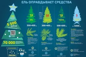 Ель оправдывает средства