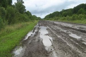 «Черноглазовский элеватор» пробивает дорогу в суде