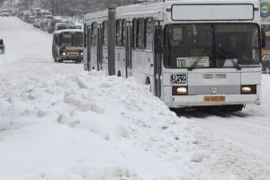 После неудачных переговоров с «Газпром нефтью» топливо для омских автобусов будут закупать на «Топ Лайне»