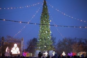 Главную елку Омска высотой в 22 метра установят в парке 30-летия ВЛКСМ