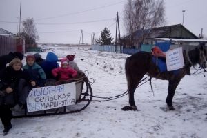 Кому и лошадь — маршрутка: омские сельчане устроили творческую акцию протеста
