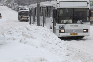 Депутаты хотят решить проблемы муниципального транспорта