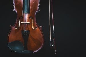 Для конкурса Янкелевича Омская область купит скрипку за 95 тысяч евро