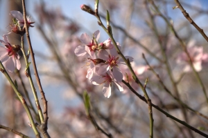 Весна в Омскую область придет по расписанию