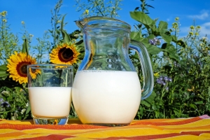 В Омской области беспрецедентно упали цены на сырое молоко