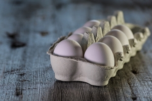 Яйца омской «Оши» спровоцировали вспышку сальмонеллеза в Югре