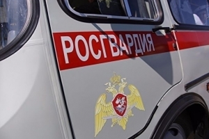 В Омске задержали пьяного водителя, искавшего «закладку» в парке Победы