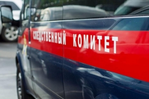Омские следователи возбудили уголовное дело по факту гибели матери и ребенка на пожаре