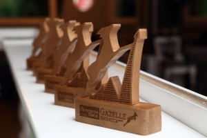 «Gazelle Бизнеса – 2019»: омские предприниматели, достойные наград