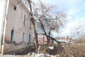 Ветер, разнесший половину Омска, оказался таким же сильным, как ураган «Леня»