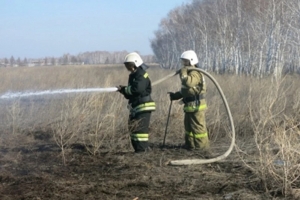 В омском парке Победы вспыхнул камыш