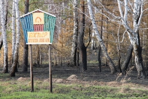 Омичи заплатят более 1,5 миллионов рублей штрафа за разведение огня для мангалов и пал травы
