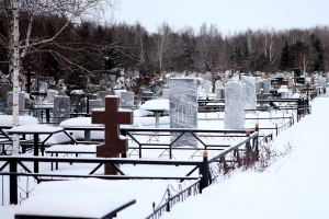 На кладбище в Омской области неизвестный украл 100 тысяч