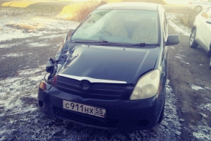 В Омской области нашли водителя, который насмерть сбил женщину и скрылся