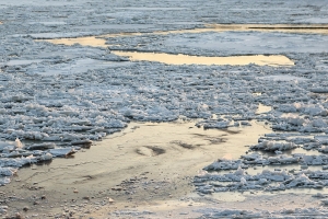 Еще не тронулся: омичи приняли подвижку льда за ледоход
