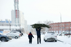 Что нового в омске