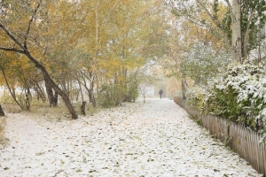 Гидрометцентр: Омскую область ожидает аномально холодная погода