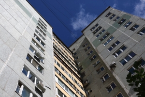 «Это как надо не любить»: Омич сбросил кота с балкона многоэтажки