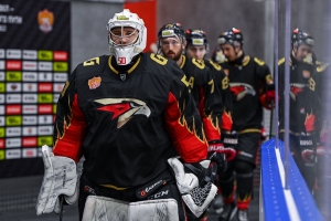 «Омские крылья» завершили свой первый сезон в ВХЛ: команда не прошла в плей-офф