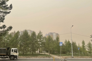Из-за штормового ветра Омск накрыла сильнейшая пыльная буря  - МЧС объявило режим ЧС (фото, видео)