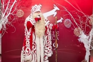 Дед Мороз заинтересован в телемедицине: ВСК подготовила полис ДМС для самого занятого новогоднего ...