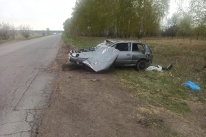 Четверо детей пострадали в ДТП с опрокидыванием авто в Омском районе