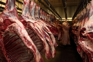 В Омске продавали мясо с повышенным содержанием антибиотиков