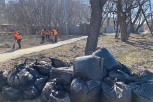 Омские чиновники будут выходить на уборку города по четвергам