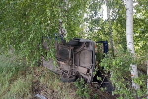 В Омской области двое мужчин скончались, врезавшись на авто в дерево 