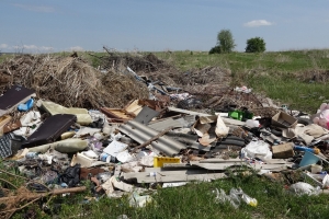 В Омской области в почве сельхозземель выявили кишечную палочку и энтерококки