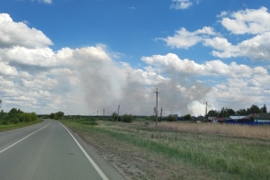 Омская область на четвертом месте в Сибири по площади лесных пожаров