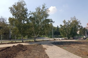 Деревья на олимпийской аллее в Омске будут высаживать ночью