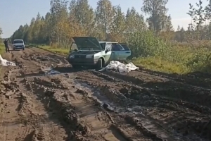 В омском минтрансе рассказали, какие работы проводились на дороге, где в аварии погибла женщина с тремя детьми