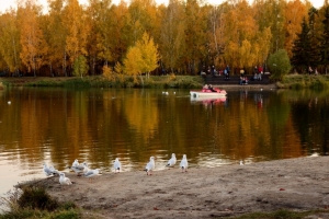 В начале октября Омскую область ждет бабье лето
