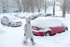 Ноябрь в Омской области начнется со снегопада и потепления 