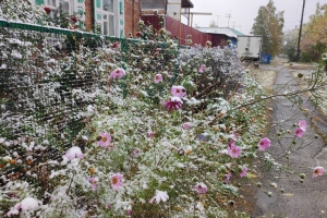 Первый снег в городе: омичи поделились снежными фото и видео