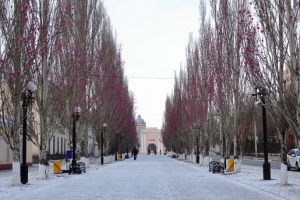 В Омске теплый ноябрь побил почти столетний температурный рекорд: в городе было +8