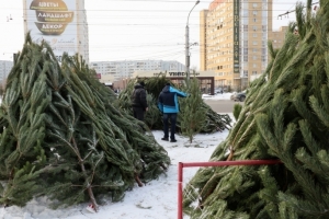 В Ленинском округе Омска будут работать 22 елочных базара