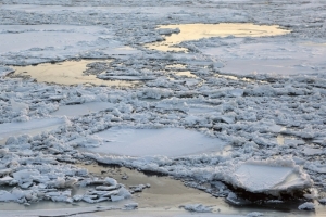 В Омской области под лед провалился гусеничный лесопогрузчик - водитель успел спастись