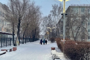 Снегопад, метель, похолодание до -27: омские синоптики рассказали о переменах в погоде 